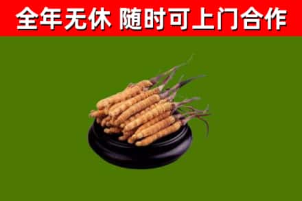 北屯烟酒回收冬虫夏草.jpg